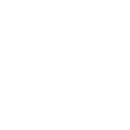 Inventory optimization icon