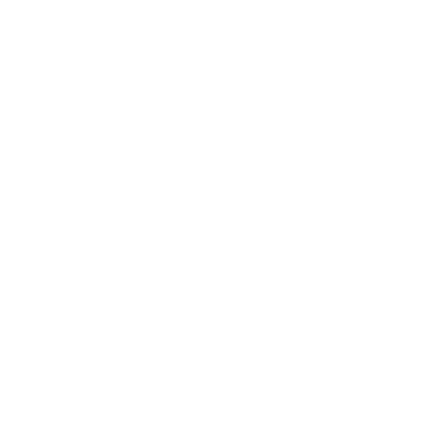 Inventory optimization icon